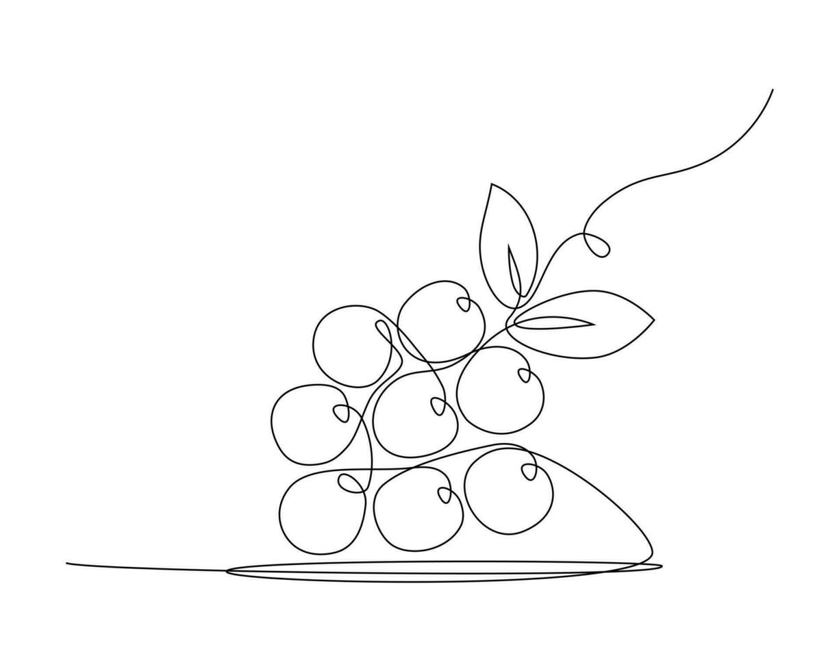 continu un Célibataire ligne dessin de bouquet de les raisins sur blanc Contexte. vecteur