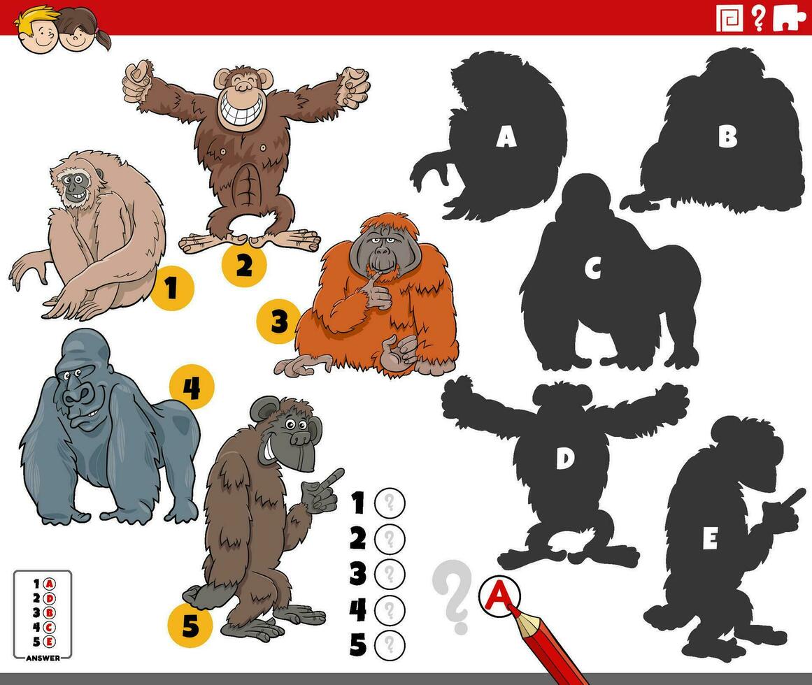 découverte ombres Jeu avec dessin animé singes animal personnages vecteur