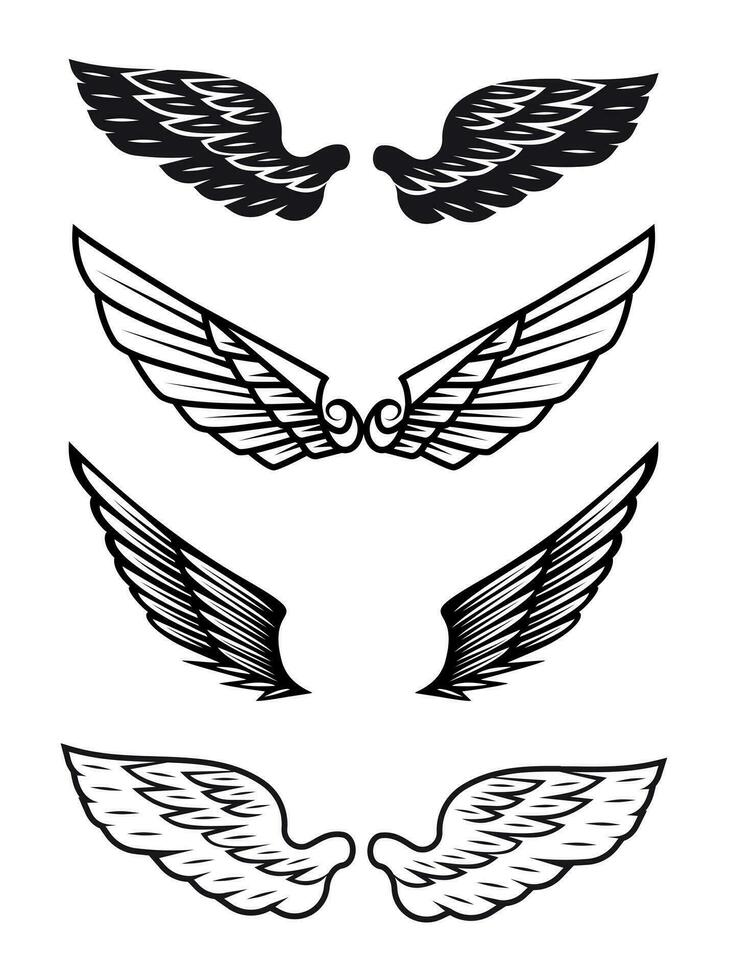 quatre images de différent paires de ailes vecteur