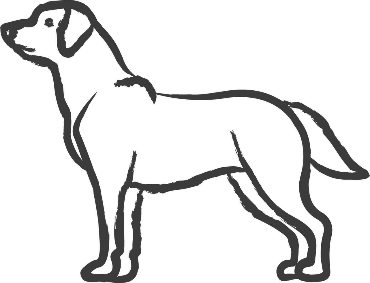 Labrador retriever chien main tiré vecteur illustration