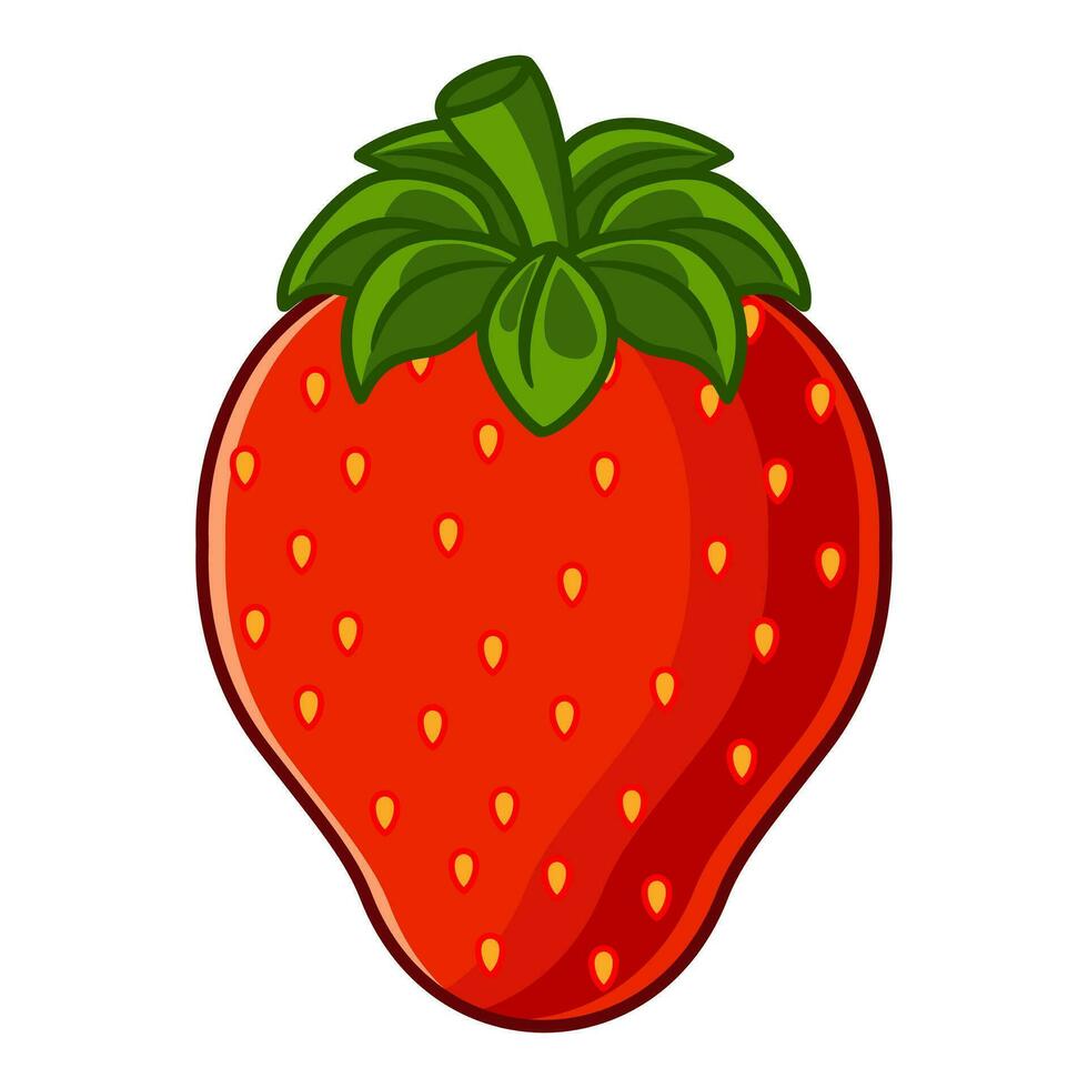 vecteur fraise fruit dessin animé icône illustration. nourriture fruit icône concept isolé