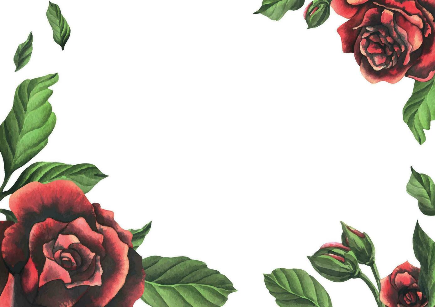 rouge noir Rose fleurs avec vert feuilles et bourgeons, élégant, brillant, belle. main tiré aquarelle illustration. modèle sur une blanc arrière-plan, pour décoration et conception. vecteur