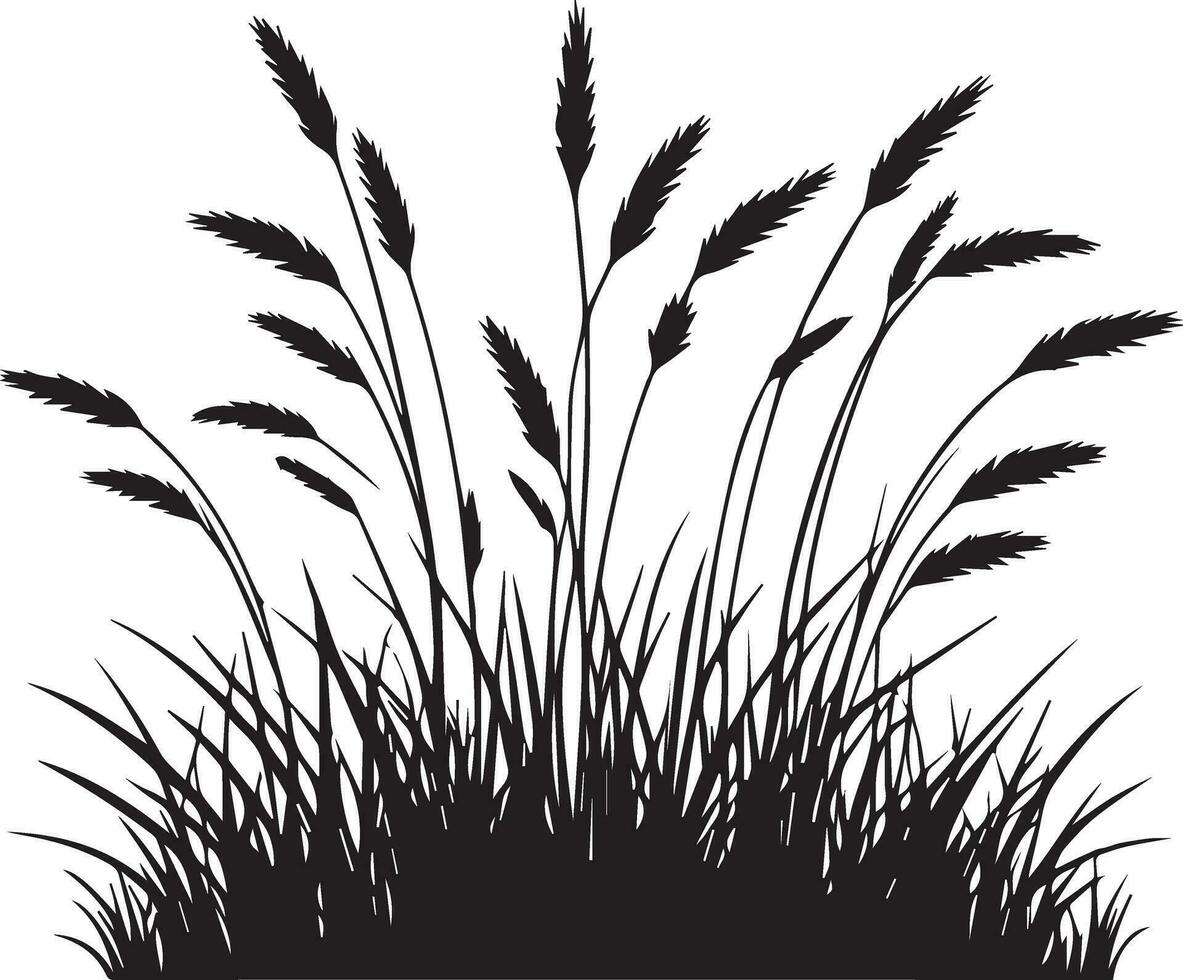 herbe vecteur silhouette illustration 3