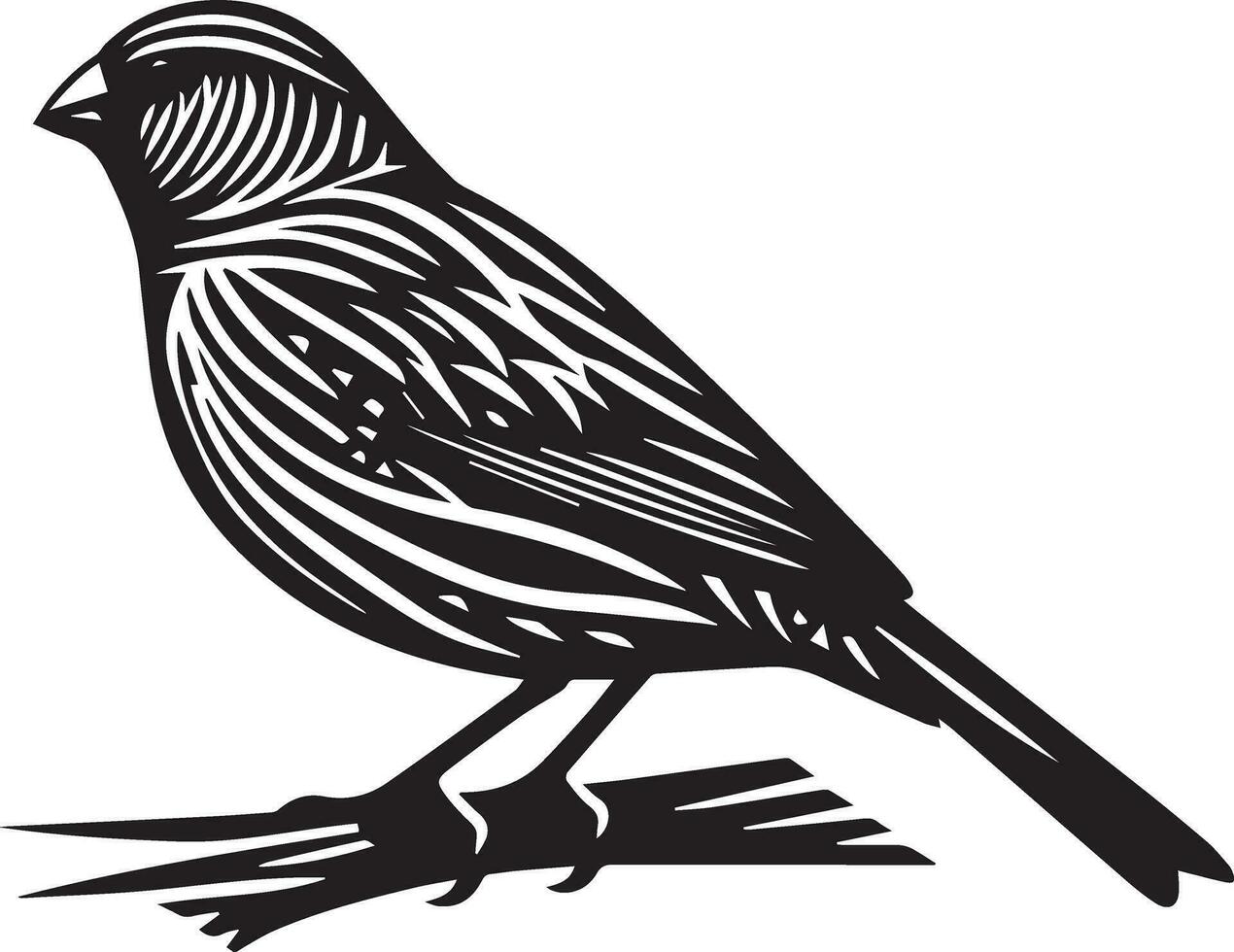 zèbre bouvreuil oiseau vecteur silhouette 8