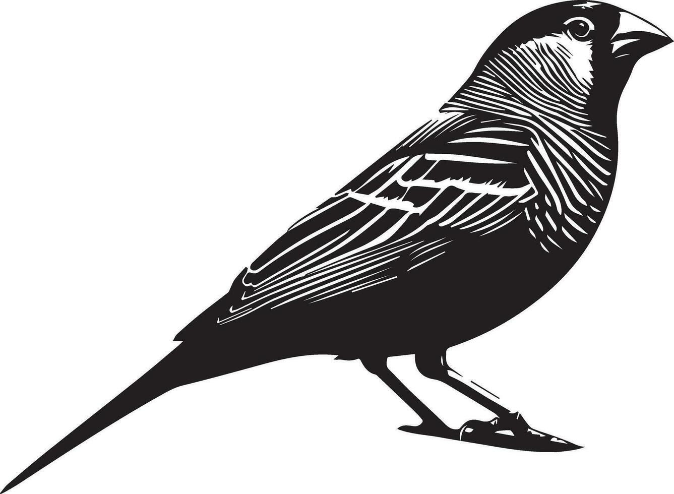 zèbre bouvreuil oiseau vecteur silhouette 6
