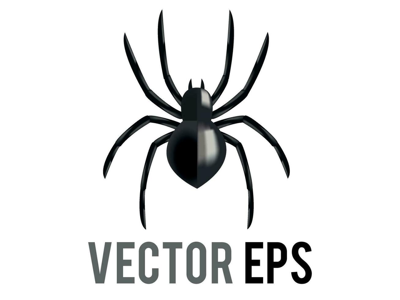 vecteur noir huit pattes arachnide ou araignée icône