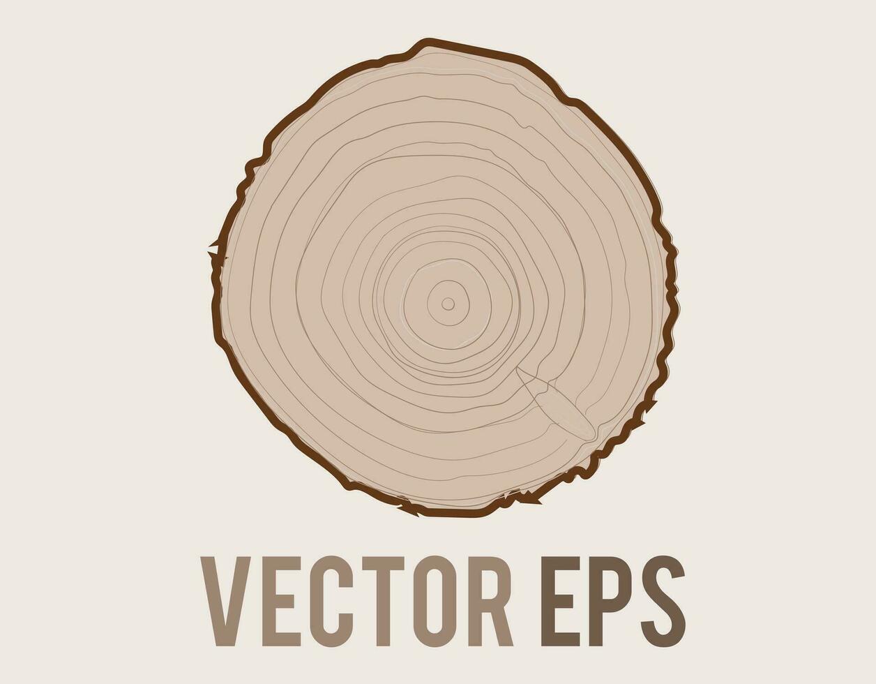 vecteur arbre avec grain de bois bague Naturel texture de Haut vue