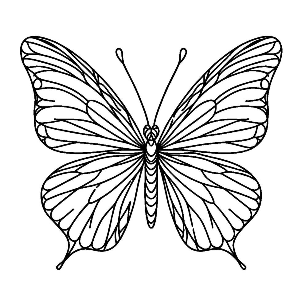 papillon coloration livre vecteur