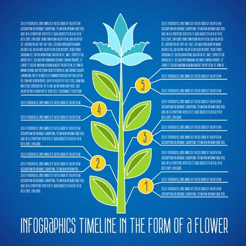 Chronologie infographique. Modèle de conception de vecteur. vecteur