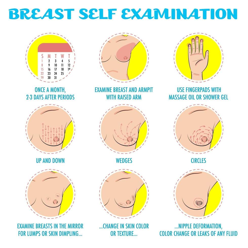 auto-examen des seins, infographie de l'examen mensuel du cancer du sein. vecteur