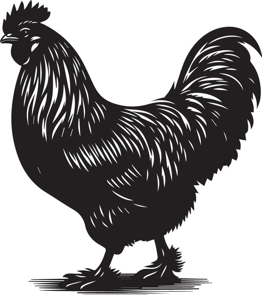 australorpe poulet vecteur silhouette illustration noir Couleur