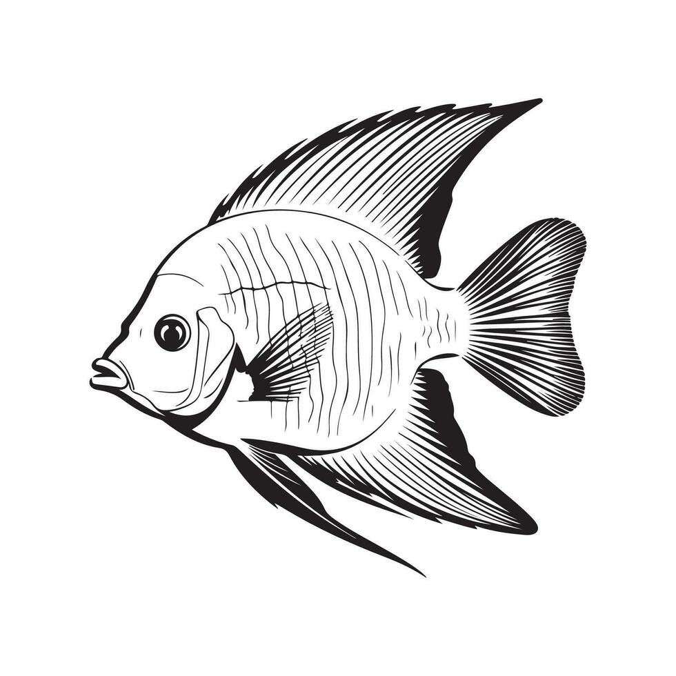 décoratif poisson vecteur image, art et illustration
