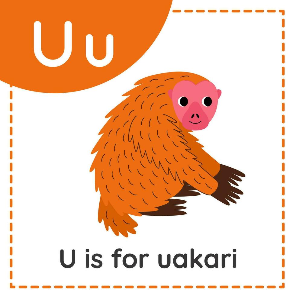 apprentissage Anglais alphabet pour enfants. lettre tu. mignonne dessin animé ouakari. vecteur