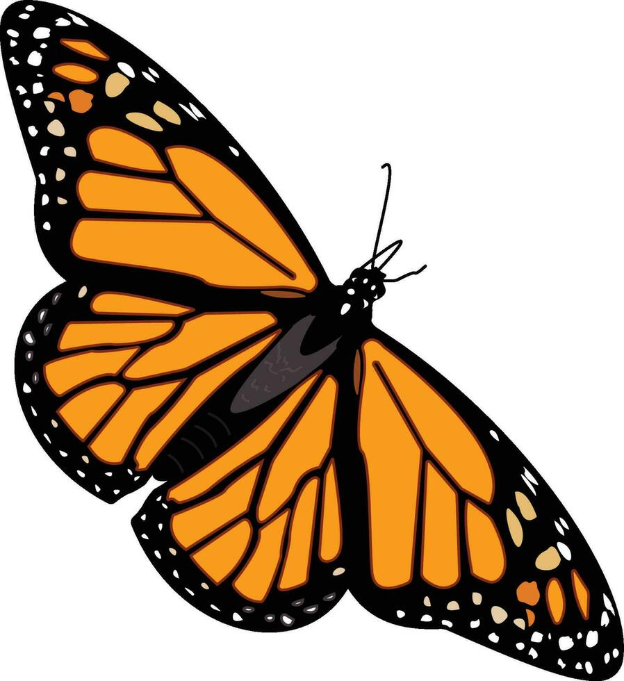 une monarque papillon vecteur