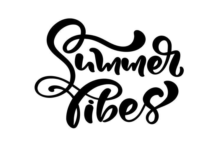 Calligraphie inscription phrase Summer vibes vecteur