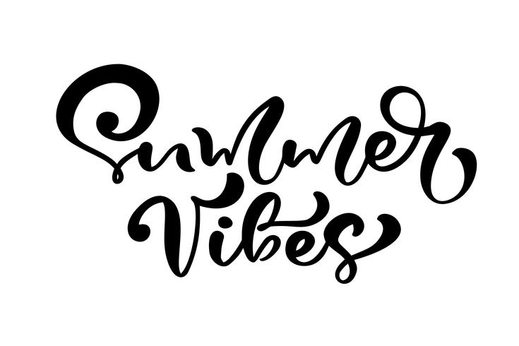 Calligraphie alphabet été Summer Vibes vecteur