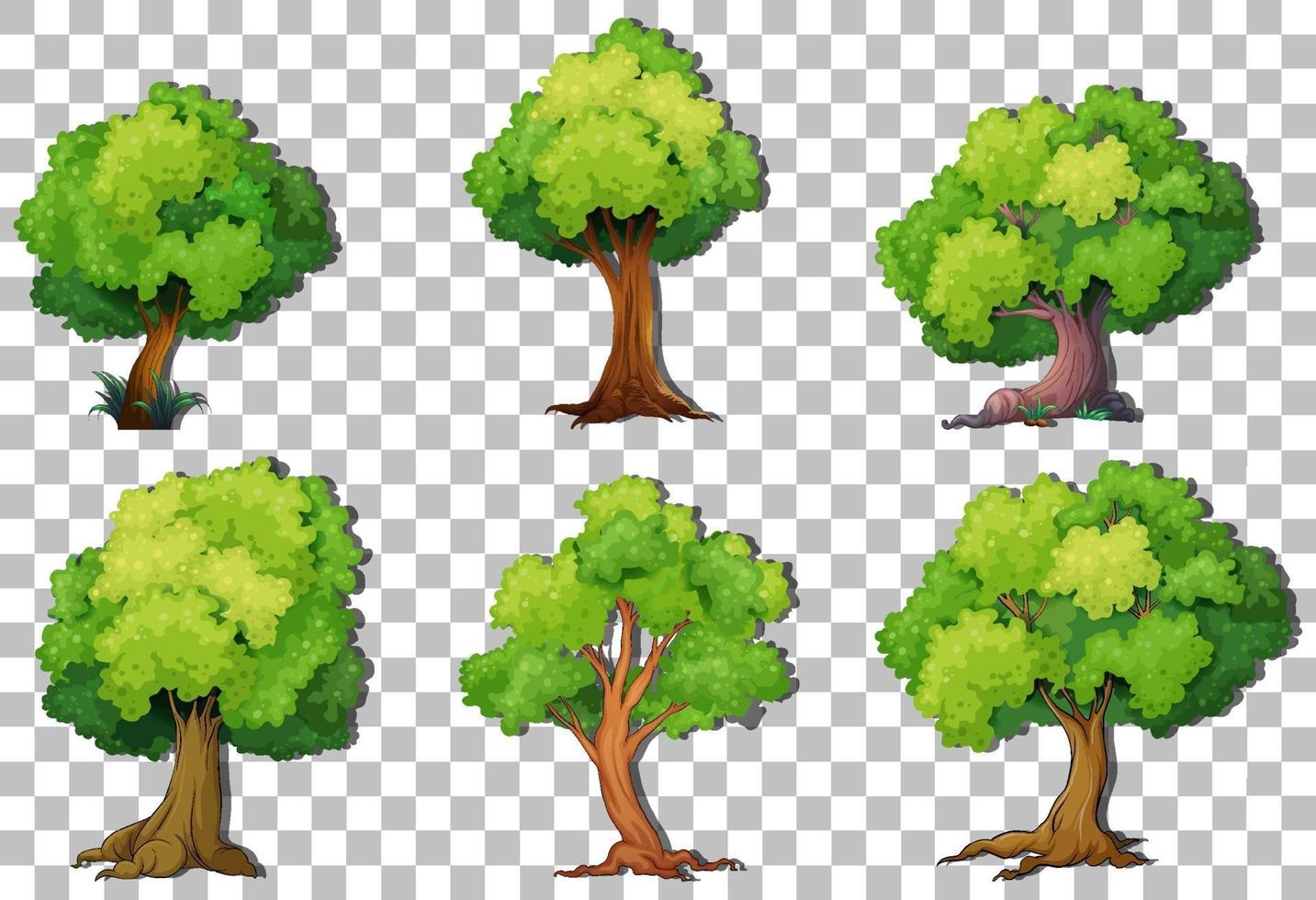 ensemble d'arbres de variété vecteur