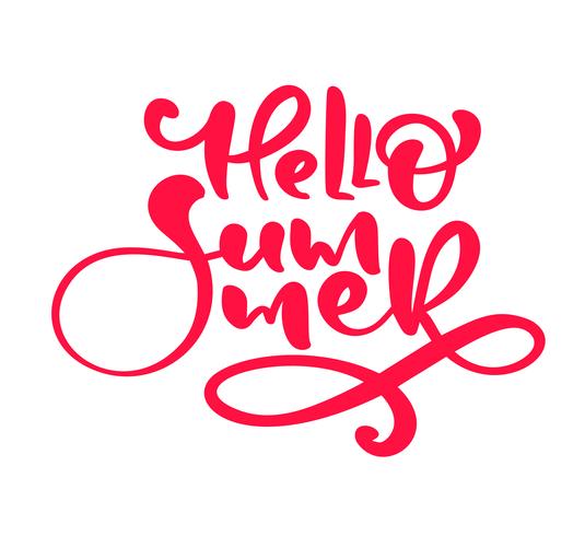 Calligraphie lettrage phrase Hello Summer vecteur