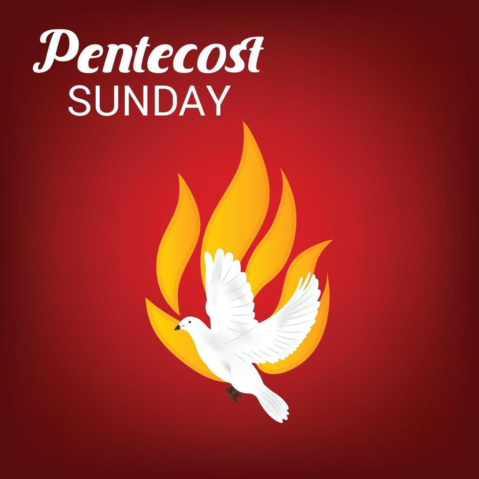 dimanche de pentecôte saint esprit colombe. vecteur