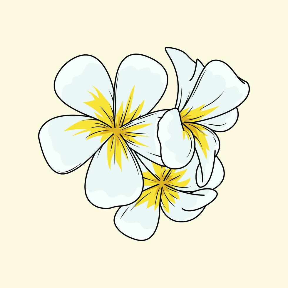 plumeria fleur le illustration vecteur