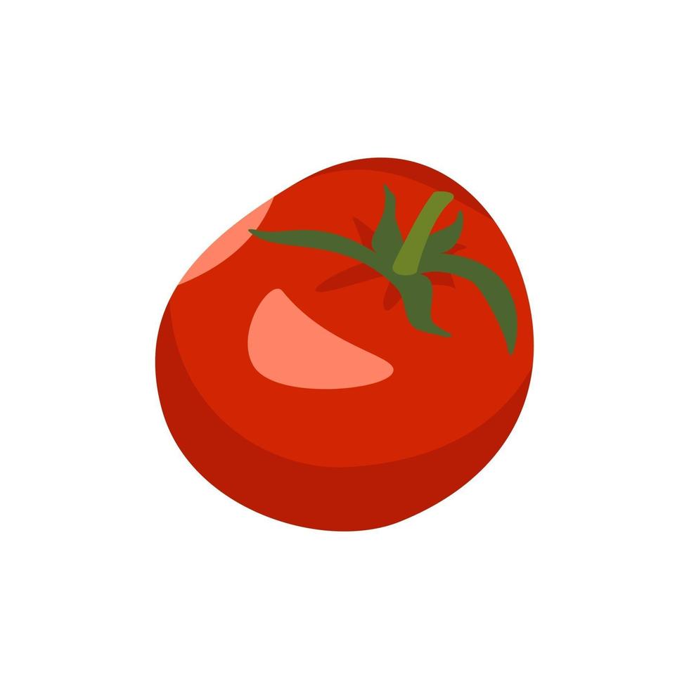 tomate entière, légume rouge, récolte pour faire de la pâte de tomate ou de la salade vecteur