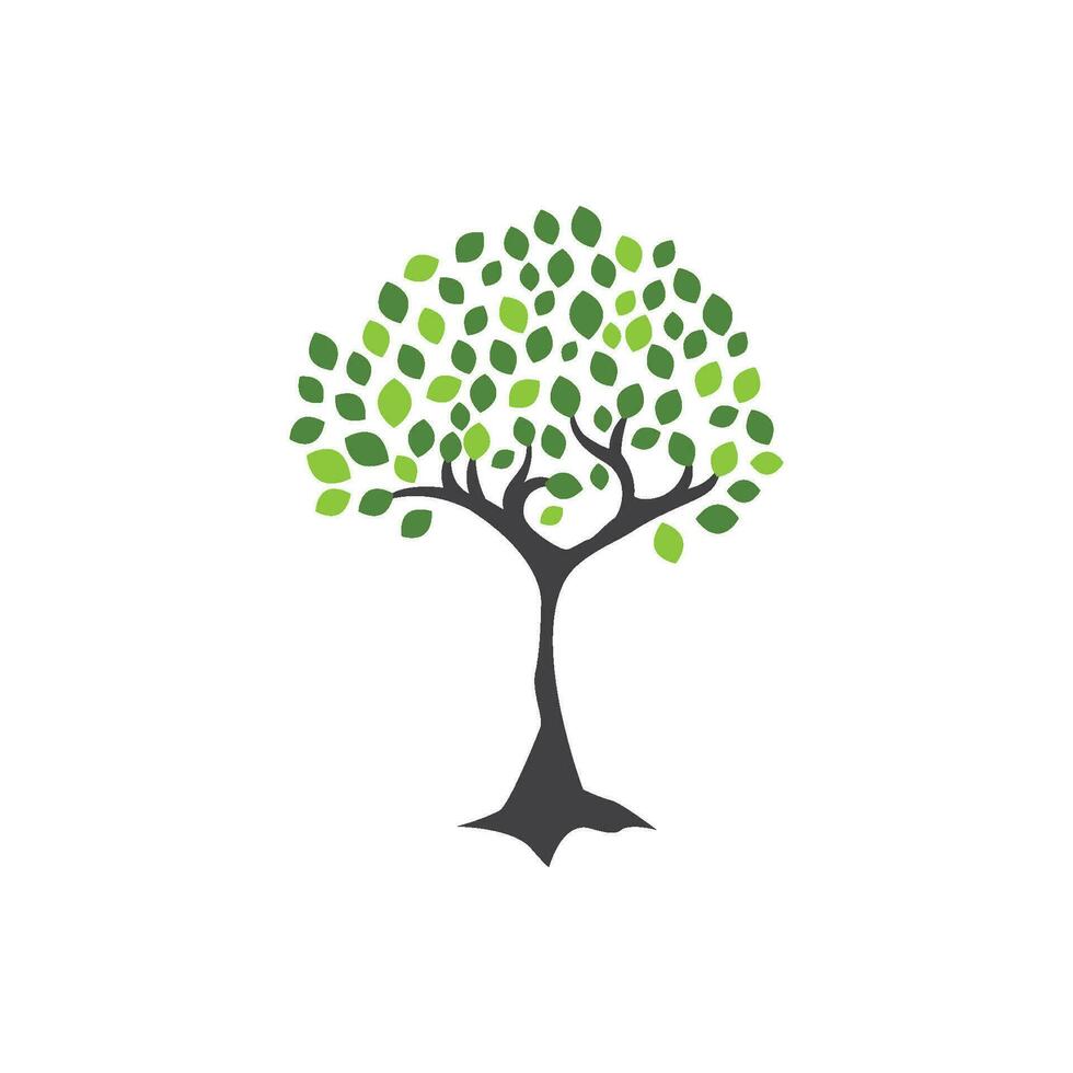 logos de l'écologie des feuilles d'arbre vert vecteur