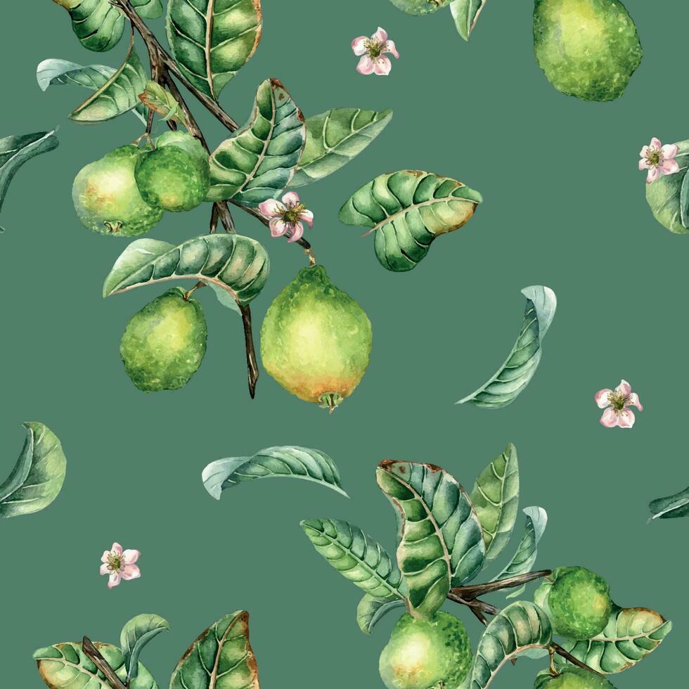 branche de arbre et Célibataire goyave fruit aquarelle sans couture modèle isolé sur vert Contexte. vert feuilles, fleurs de goyave main dessiné. conception pour emballage, emballage, tissu, papier, textile vecteur