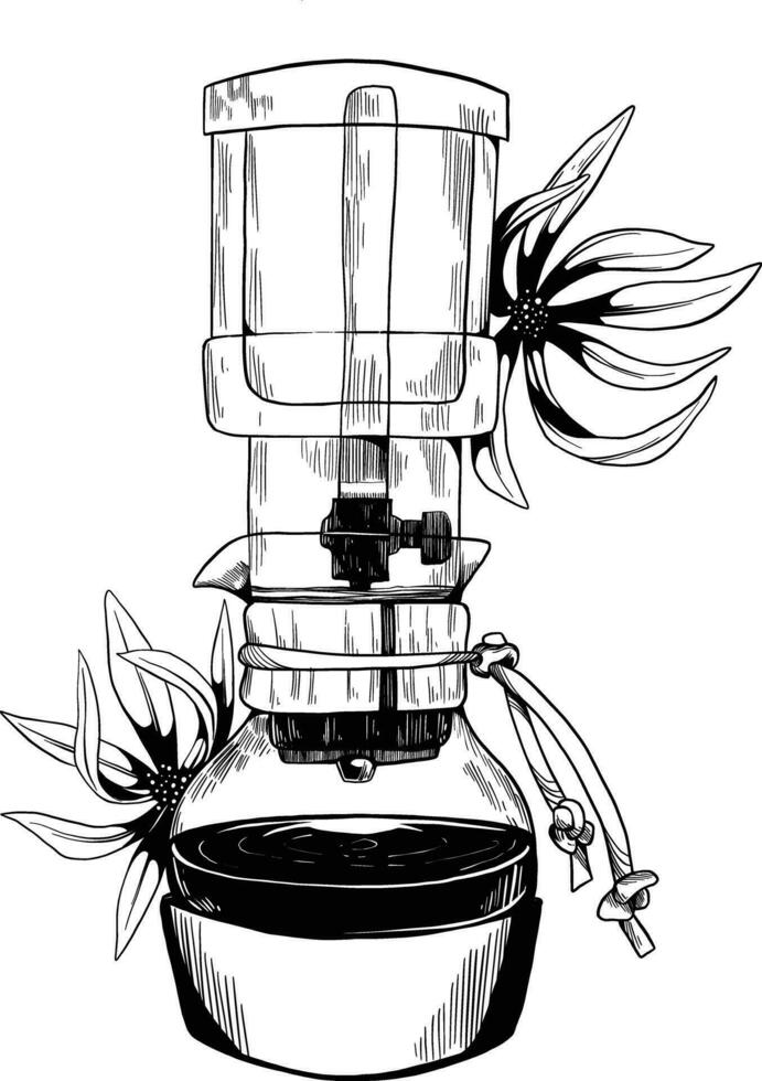 filtre goutte café fleur esquisser illustration vecteur