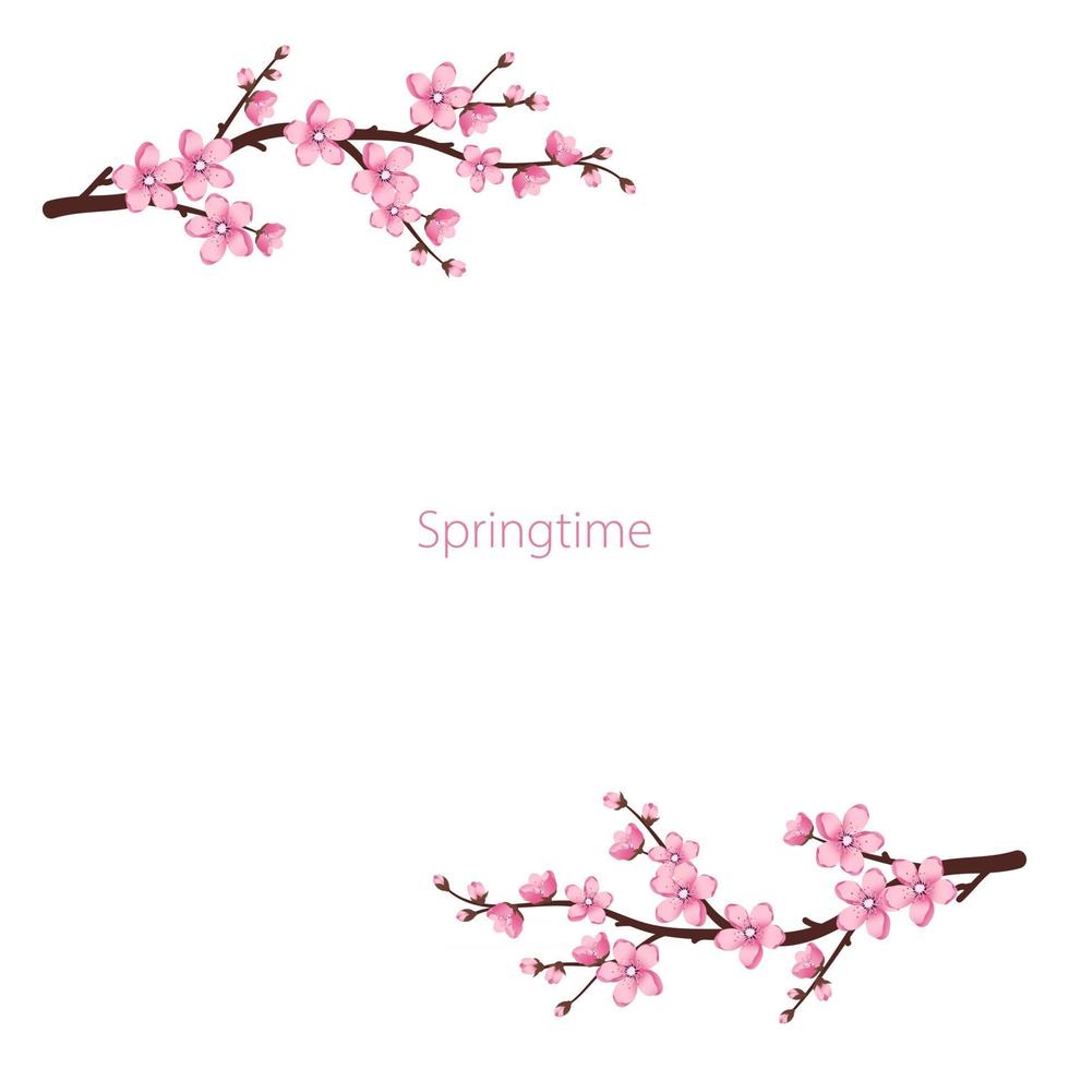 cadre de fleurs de sakura. les branches de cerisier ont fleuri vecteur