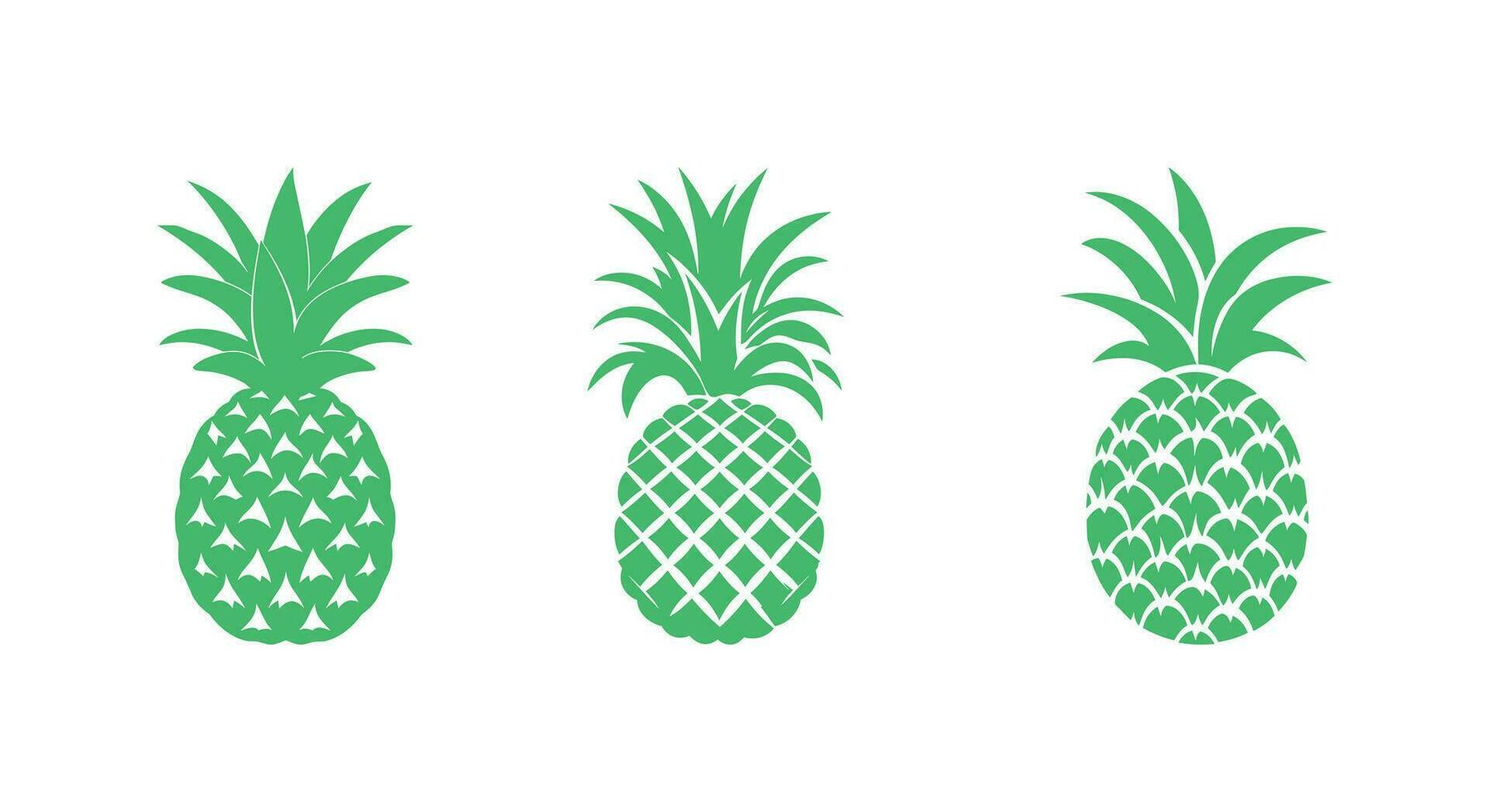 délicieux détails ananas délice vecteur