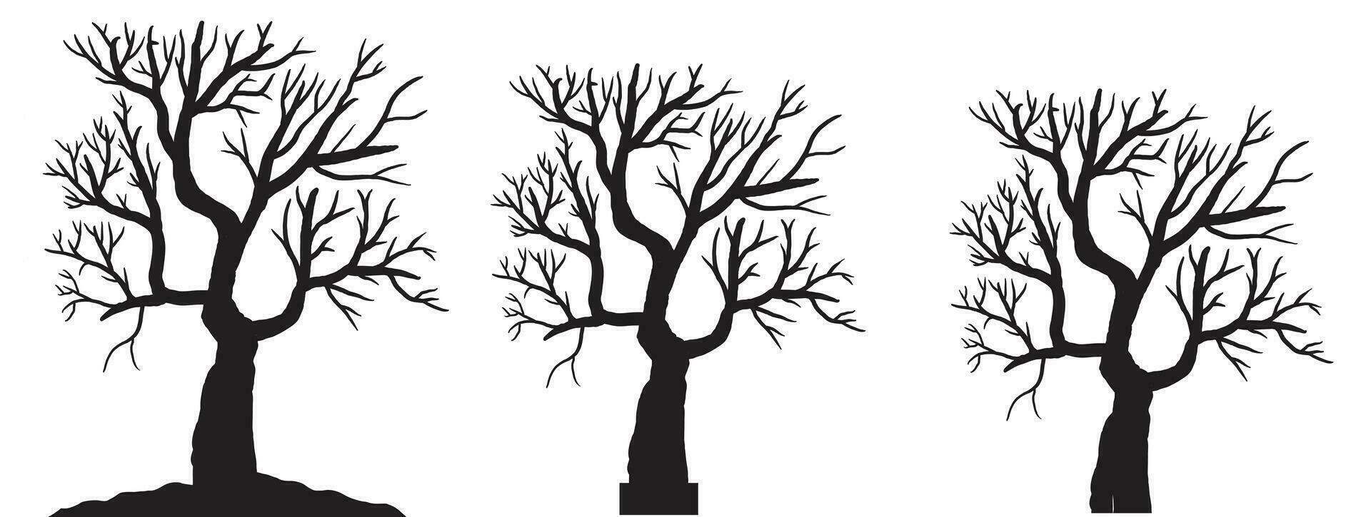 silhouette de mort arbre vecteur illustration. silhouette de des arbres et branches sans pour autant feuilles. nu arbre silhouette. noir branche arbre vecteur. silhouette de une nu arbre.