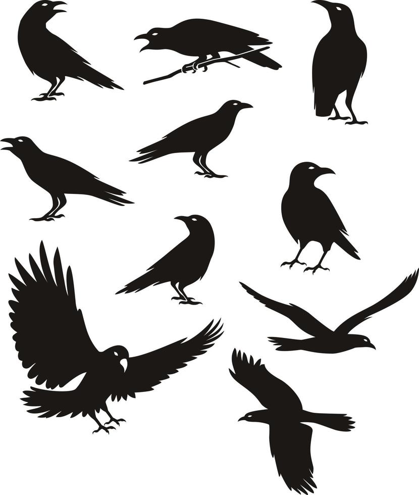 illustration de couleur noire silhouette corbeau vecteur