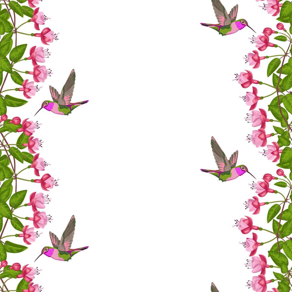 bordure transparente fuchsia et colibri vecteur