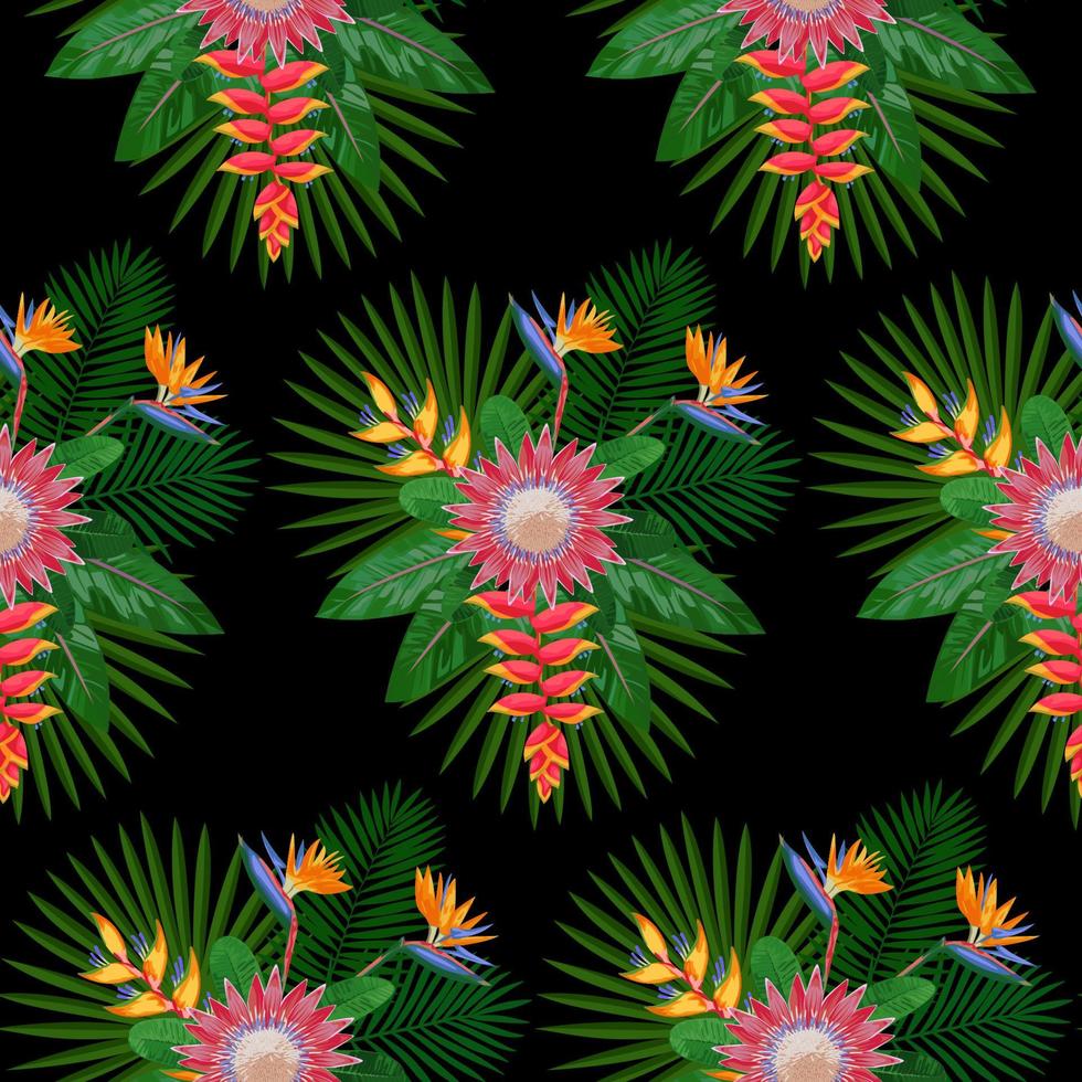 modèle sans couture tropical avec protea vecteur