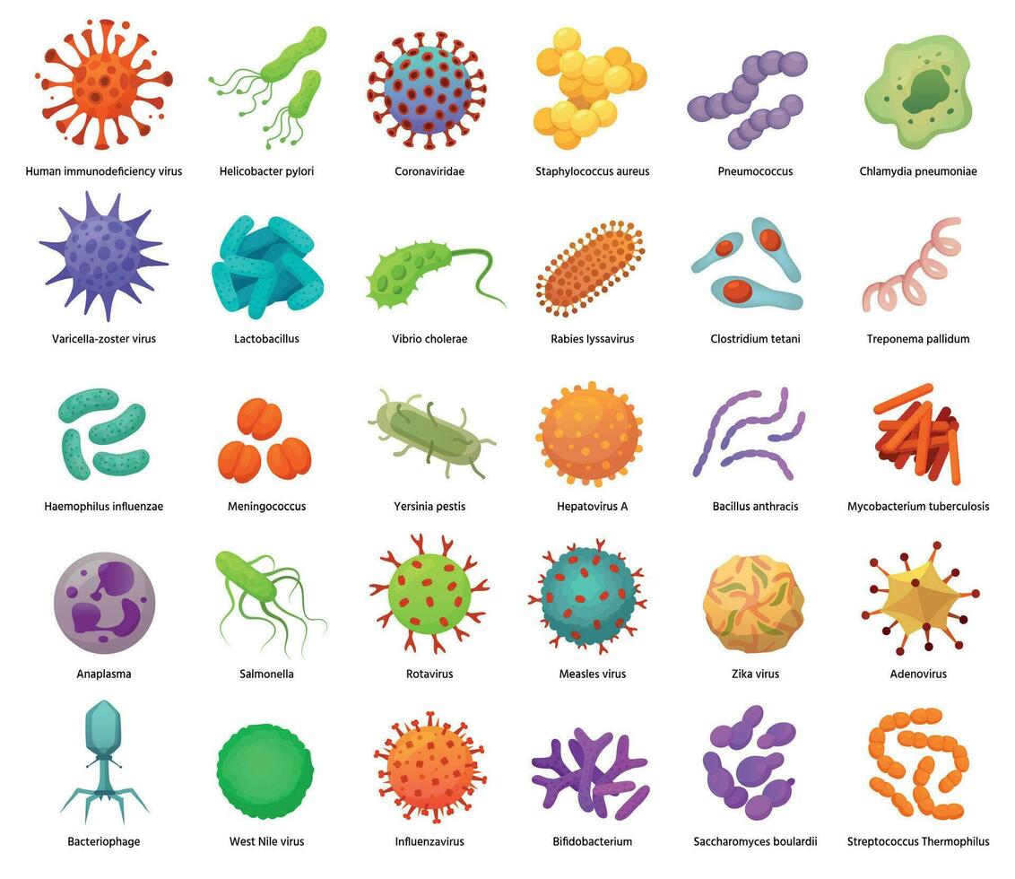 les bactéries et virus Icônes. pathogène bactéries, virus et microbes. Couleur germes, bactérie les types vecteur illustration ensemble