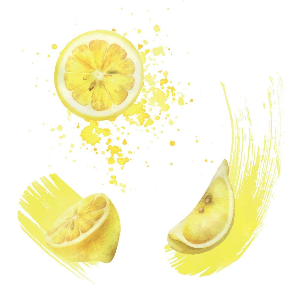 Jaune citrons avec éclaboussures de jus, rond tranche et trimestre avec graines. aquarelle, main tiré botanique illustration. ensemble de isolé éléments sur une blanc Contexte vecteur