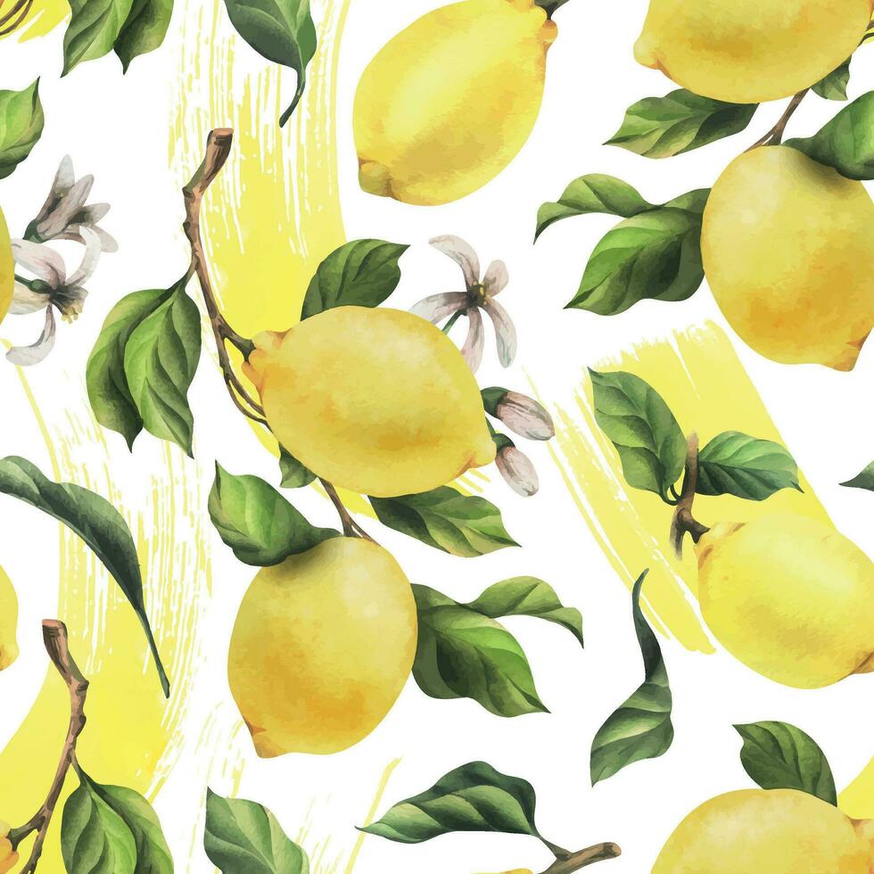 citrons sont jaune, juteux, mûr avec vert feuilles, fleur bourgeons sur le branches, entier et tranches. aquarelle, main tiré botanique illustration. sans couture modèle sur une blanc Contexte vecteur