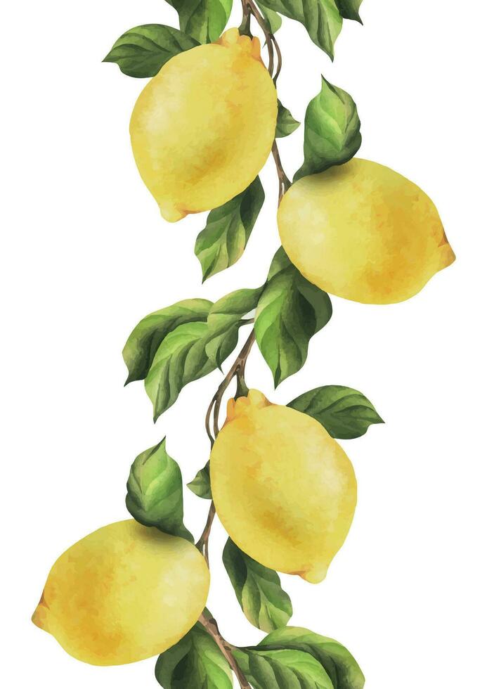 citrons sont jaune, juteux, mûr avec vert feuilles sur le branches, ensemble. aquarelle, main tiré botanique illustration. sans couture frontière sur une blanc Contexte vecteur
