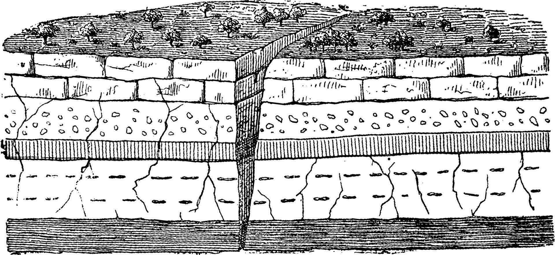 exemple de Facile fracture, ancien gravure. vecteur