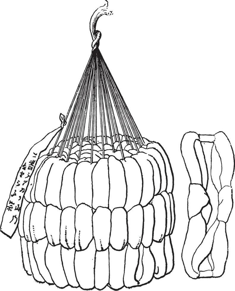 plier grappe dans utilisation dans Japon, ancien gravure. vecteur