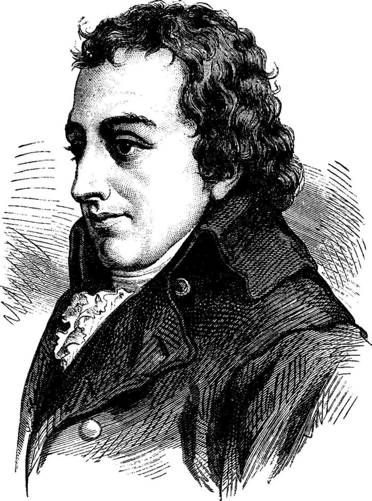 fichte, ancien gravure. vecteur