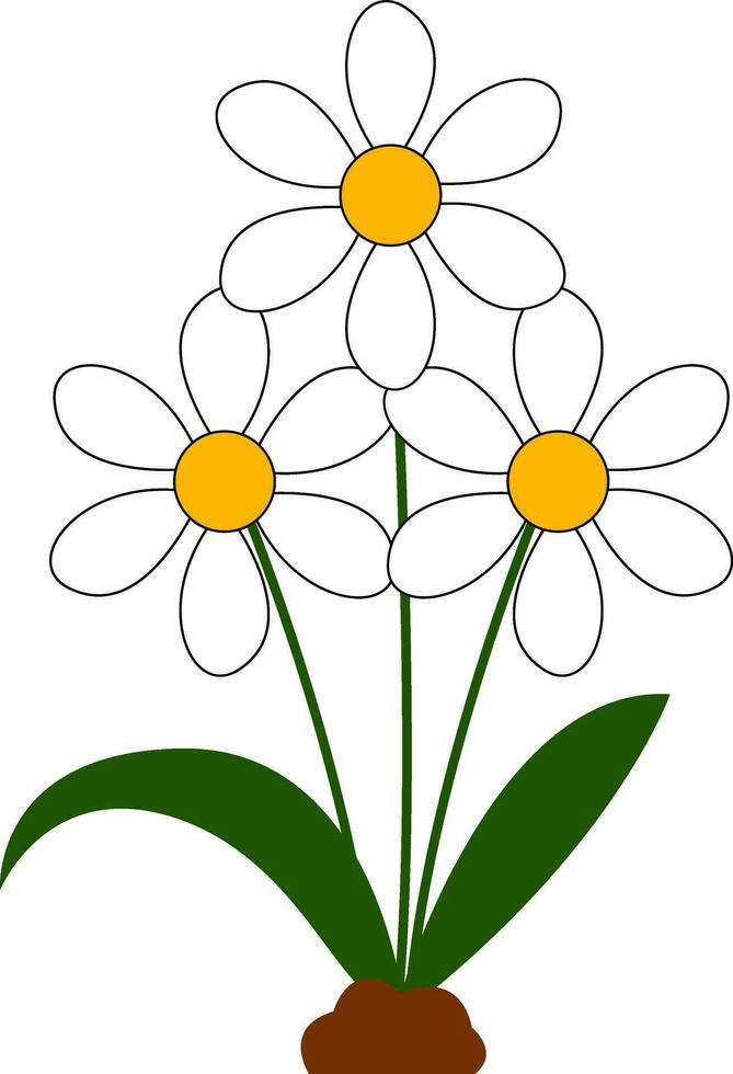 magnifique marguerites vecteur ou Couleur illustration