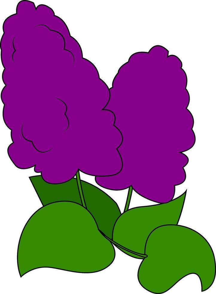 magnifique lilas vecteur ou Couleur illustration