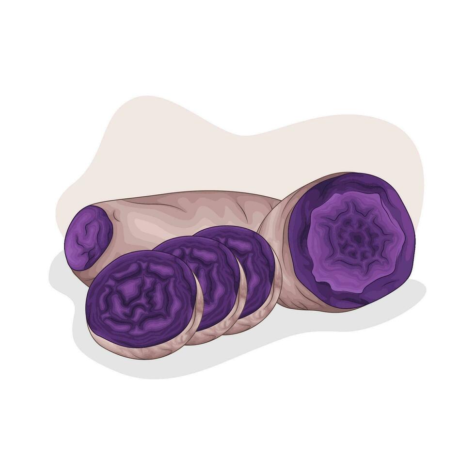 taro violet sucré Patate illustration vecteur