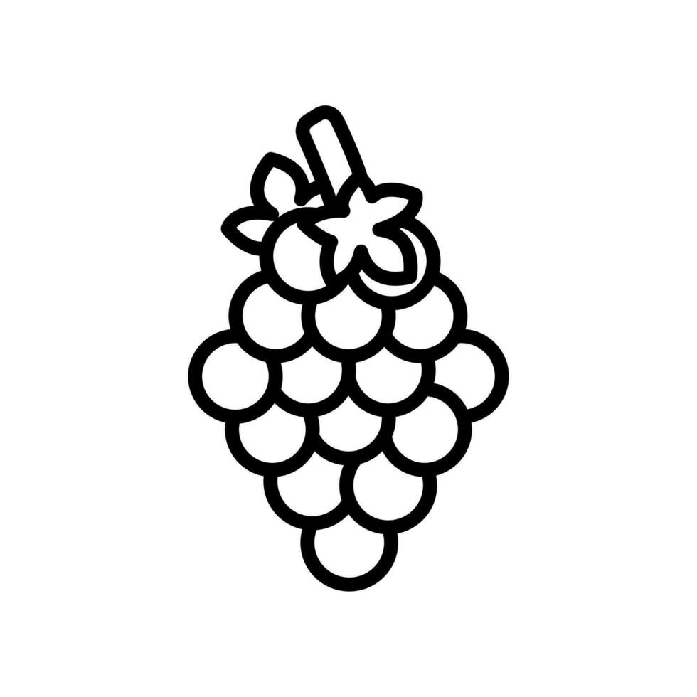 les raisins icône conception vecteur modèle