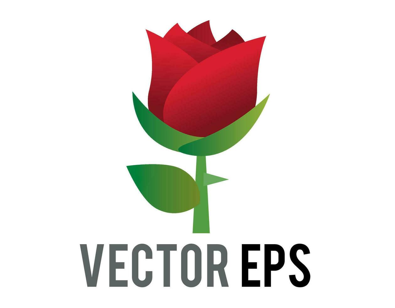 vecteur rouge Rose fleur icône avec vert tige et feuilles