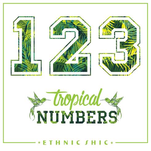 Numéros tropicaux de vecteur pour t-shirts, affiches, cartes et autres utilisations.