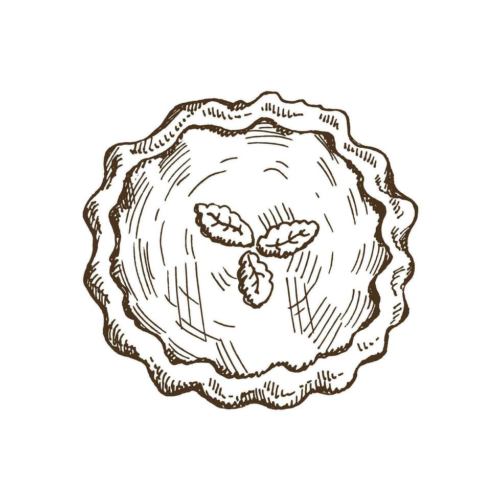 dessiné à la main traditionnel citrouille tarte esquisser. vecteur illustration de pâtisserie. fait maison gâteau, boulangerie. Haut vue nourriture pour recettes, restaurant ou café menu. traditionnel nourriture pour action de grâces, Noël