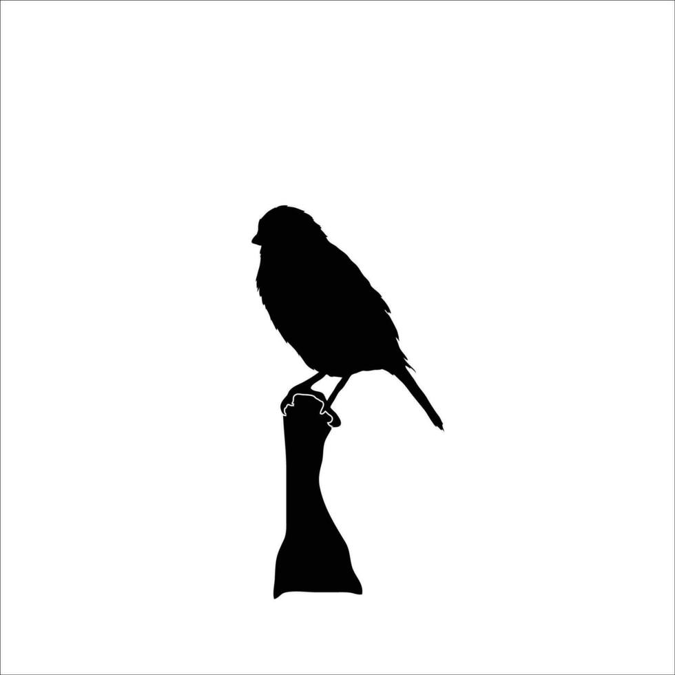 vecteur de silhouette d'oiseau