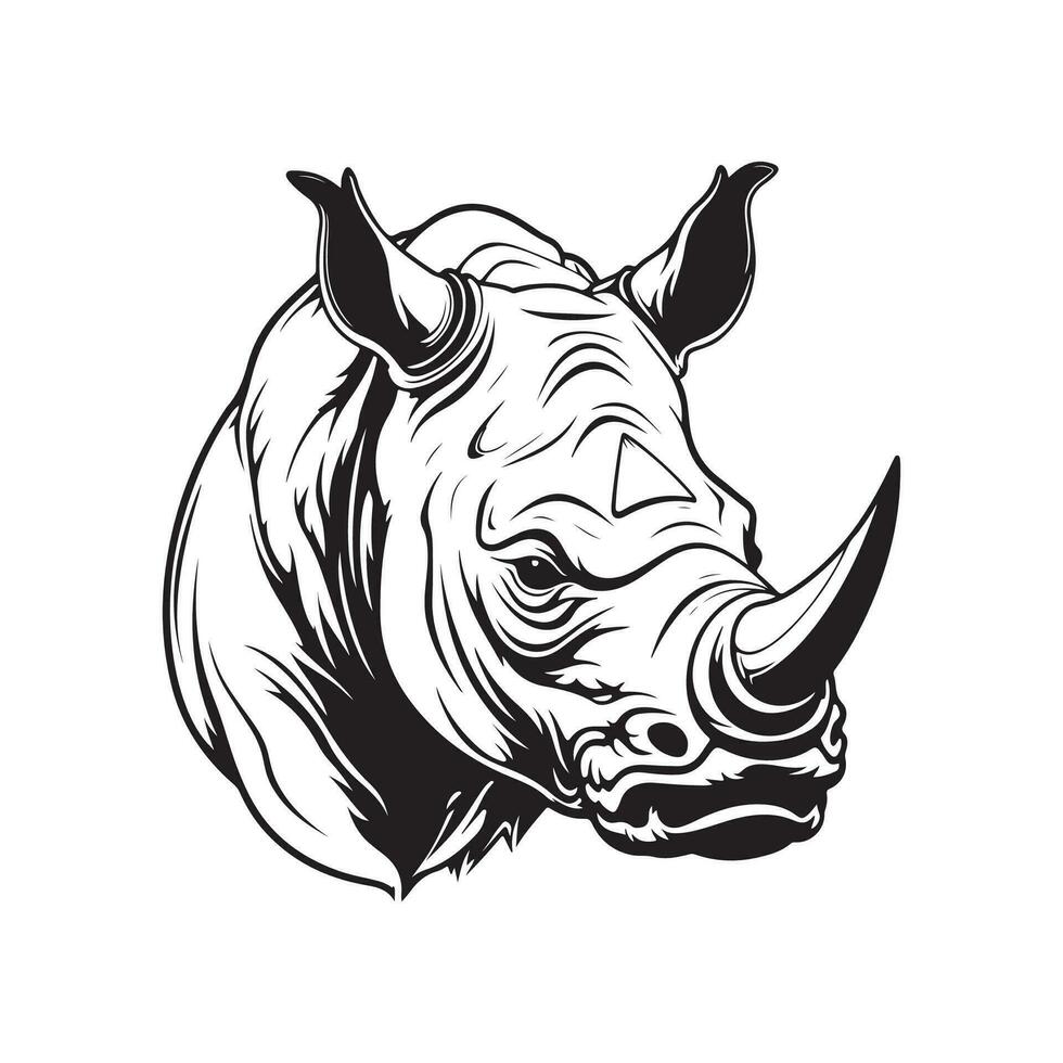 rhinocéros image vecteur, art et illustration vecteur